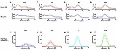 Reciprocal Interactions between Medial Septum and Hippocampus in Theta Generation: Granger Causality Decomposition of Mixed Spike-Field Recordings